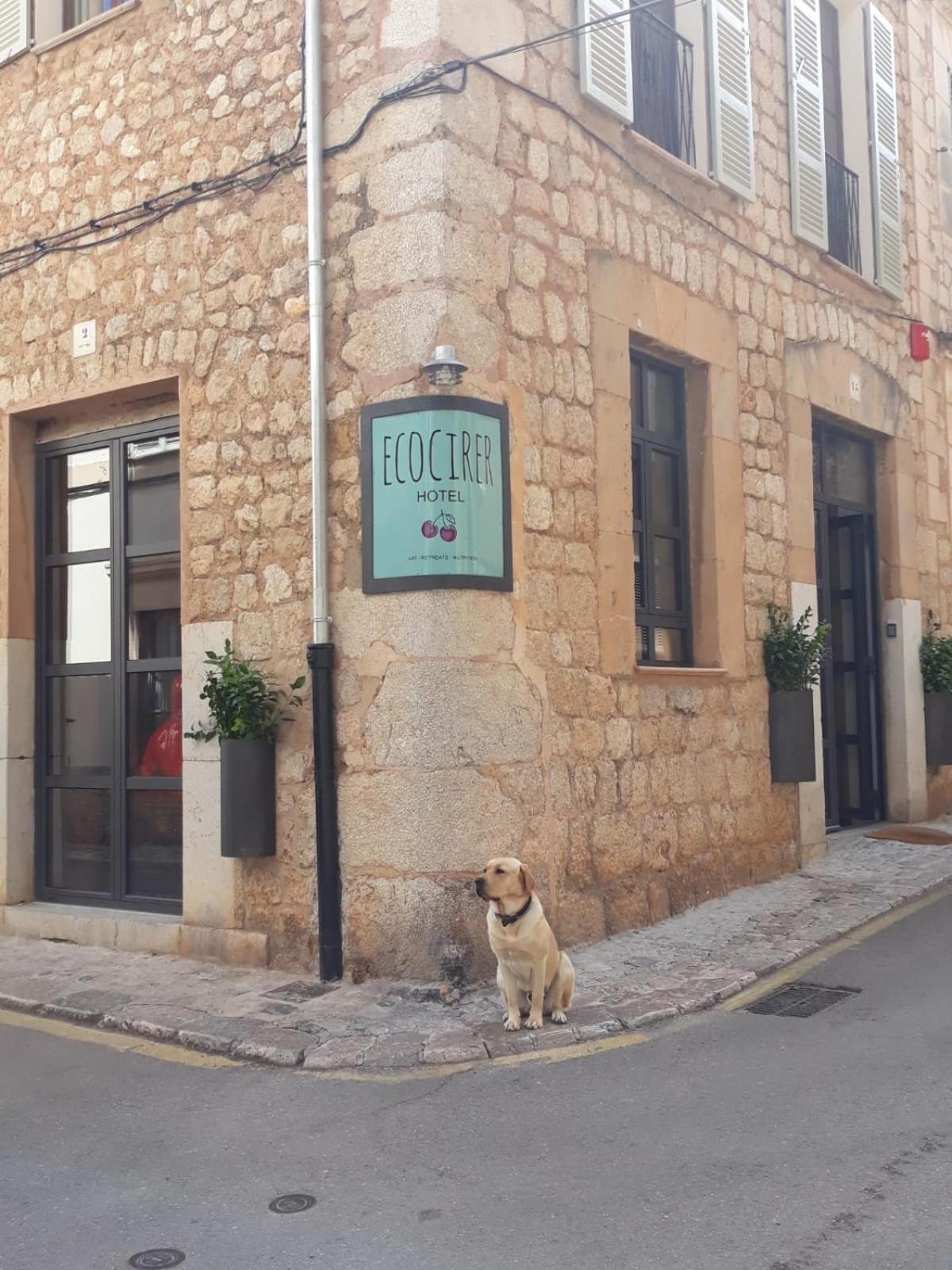 Ecocirer Healthy Stay Sóller Eksteriør bilde